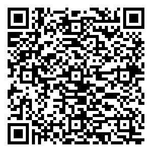 微信“粽”情端午小程序游戏二维码