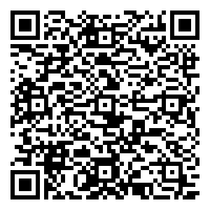 微信端午粽动员小程序游戏二维码