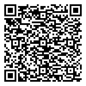微信北汽绅宝-2017谜上元宵小程序游戏二维码