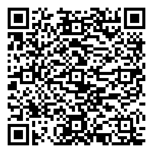 微信抓饼攻略小程序游戏二维码