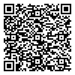 微信岁末福运“猪”·“双十一”秒杀一切！-突泉店小程序游戏二维码