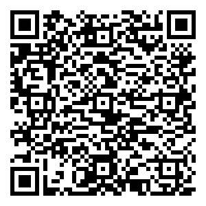 微信粽情享福 心想试成小程序游戏二维码