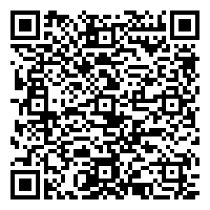 微信11月Free 一起飞一起玩（乌鲁木齐）小程序游戏二维码