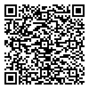 微信谢大饺马里奥大冒险小程序游戏二维码