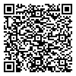 微信珑悦东方 一见粽情小程序游戏二维码