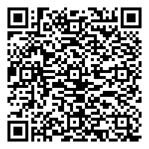 微信直击双11 六月玫瑰●真战—真品 真低 真心送 亚军小程序游戏二维码