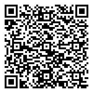 微信有娱演示——粽能抓到你小程序游戏二维码
