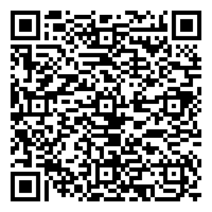 微信11.11 狂欢盛典小程序游戏二维码