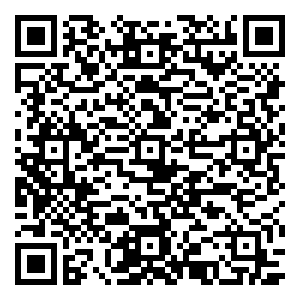 微信好年货在友谊 拼团大行动小程序游戏二维码