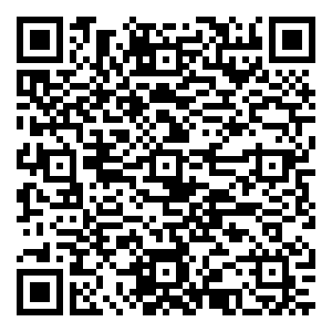 微信龙笛旗袍·盛京大促小程序游戏二维码