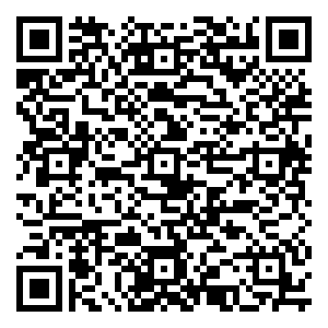 微信喜迎新春   诗妙有“丽”小程序游戏二维码