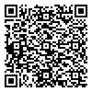 微信金棕榈-接粽大赛小程序游戏二维码