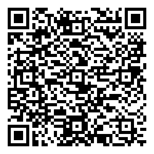 微信追踪圣诞美人赢大奖小程序游戏二维码