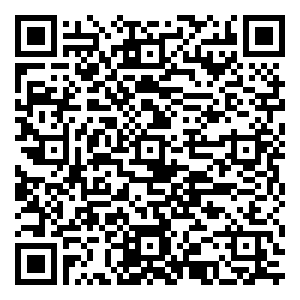 微信华厦接“粽”大赛小程序游戏二维码