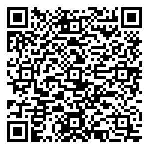 微信Free-小巧玲珑扭蛋机（粤中8月）小程序游戏二维码