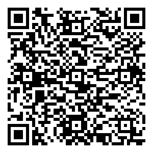 微信1元抢，大师非遗小吃，“39元百花稍梅”小程序游戏二维码