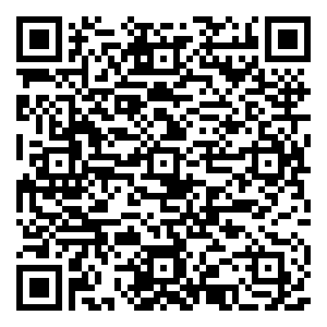 微信奔月计划小程序游戏二维码