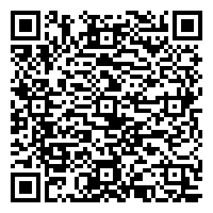 微信智灵通陪你闹元宵小程序游戏二维码