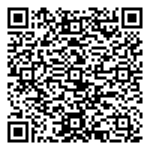 微信Free 一起飞一起玩（沈阳）小程序游戏二维码