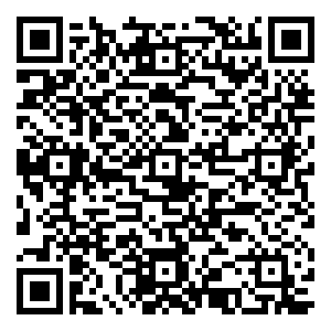 微信（灵玲）第三届马戏春晚红包雨小程序游戏二维码