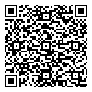 微信南山接粽而来小程序游戏二维码