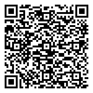 微信抢电合伙人小程序游戏二维码