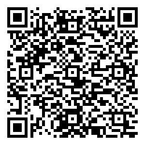 微信18万海洋球  嗨Ball龙凤新天地小程序游戏二维码