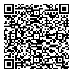 微信端午打砖块赚粽子小程序游戏二维码