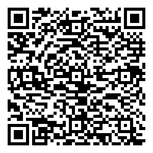 微信直击双11 六月玫瑰●真战—真品 真低 真心送小程序游戏二维码