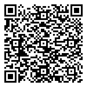 微信有娱演示--整点摇钱树小程序游戏二维码