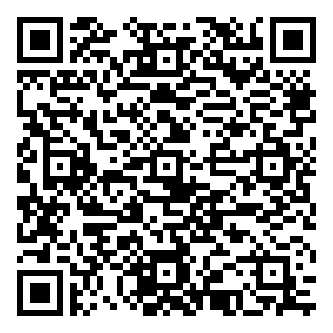 微信有娱演示--整点摇钱树小程序游戏二维码