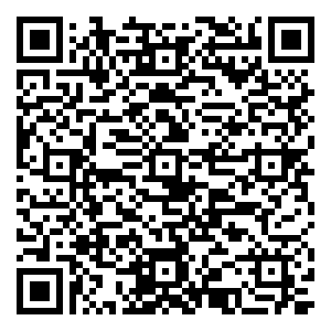 微信拆端午金棕，抢十万豪礼小程序游戏二维码