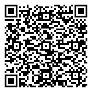 微信跨越陪您过大年小程序游戏二维码