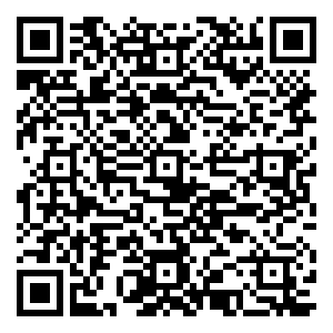 微信赛龙舟赢好礼,与粽不同过端午!小程序游戏二维码