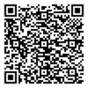 微信安全+锐亿安全门小程序游戏二维码