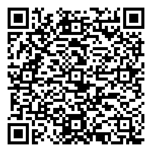 微信抓住您的梦想之车小程序游戏二维码