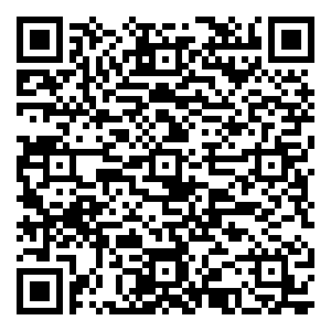 微信情书博物馆小程序游戏二维码