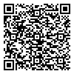 微信 中之杰定制版粽子礼盒限时开抢（10人和30人团）小程序游戏二维码