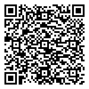 微信【有奖游戏】端午接粽大赛等你来战！小程序游戏二维码