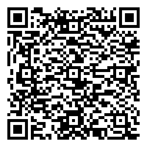 微信抓饼攻略小程序游戏二维码