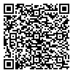 微信城南圣诞·疯狂砍价（第二波）小程序游戏二维码