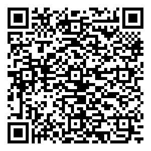 微信安全+锐亿安全门小程序游戏二维码