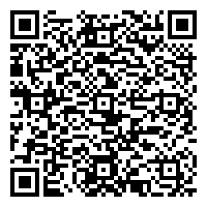 微信丽人13周年庆语音红包小程序游戏二维码