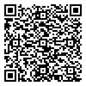 微信桃李东方红旗护卫队小程序游戏二维码