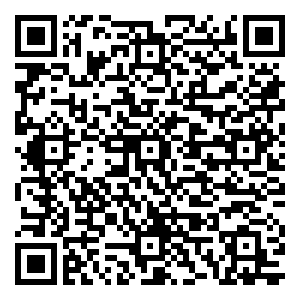 微信欢乐闹元宵  一起飞®免费请你看电影小程序游戏二维码