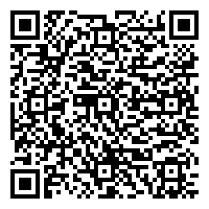 微信一起飞®陪你过端午小程序游戏二维码