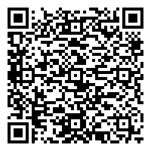 微信五星红旗护卫队小程序游戏二维码