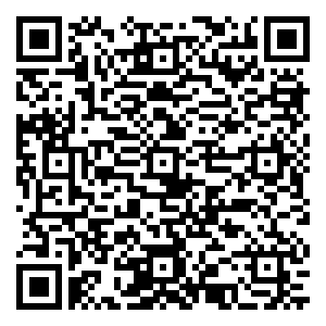 微信双11保护单身狗小程序游戏二维码