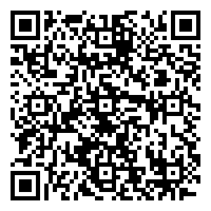 微信“粽”享美味，你和端午还差一条”舟“小程序游戏二维码