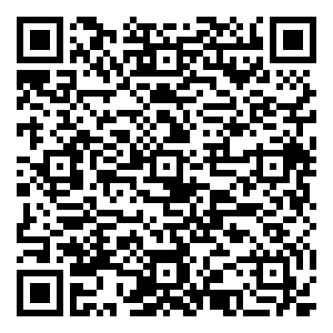 微信拆粽子免费换沃抓抓大奖小程序游戏二维码